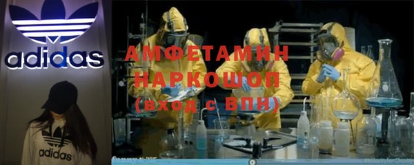 ПСИЛОЦИБИНОВЫЕ ГРИБЫ Верея